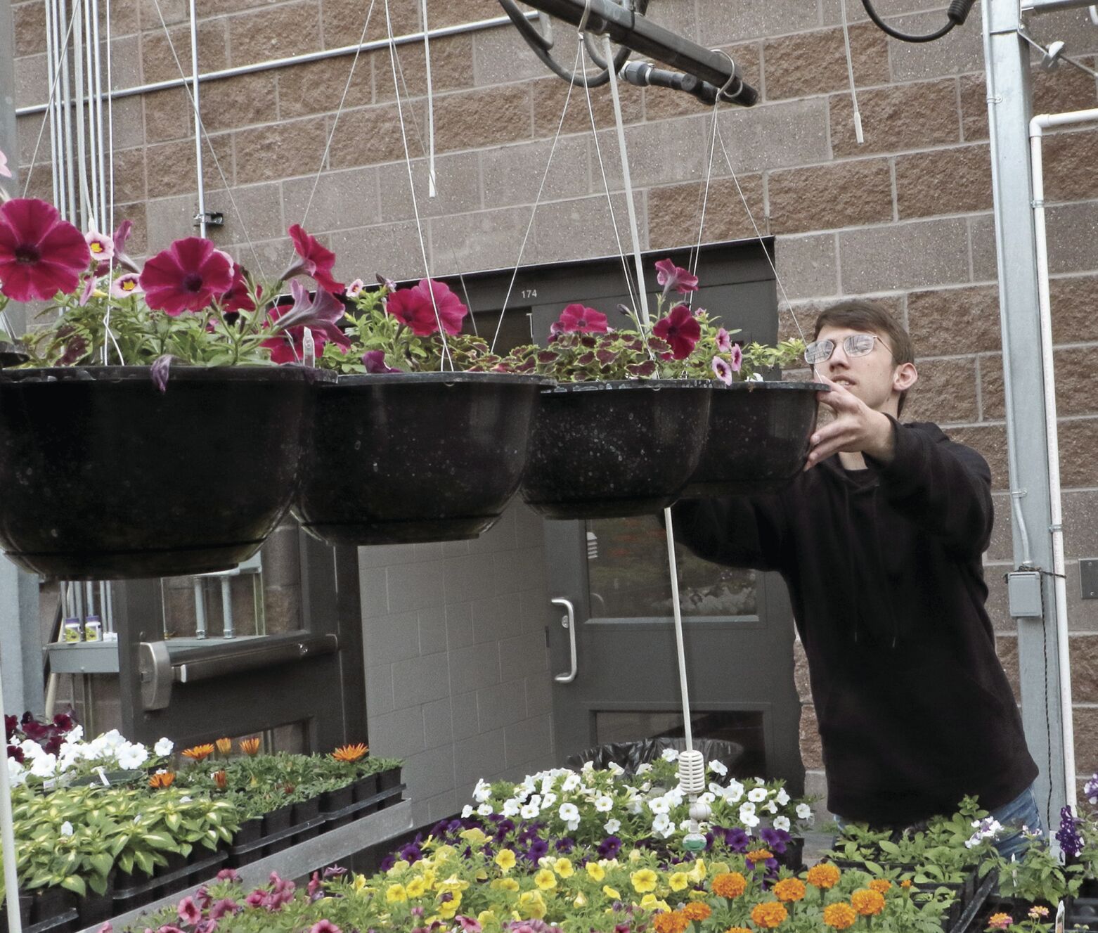PHOTOSSHSHorticultureplantsale043022337.jpg